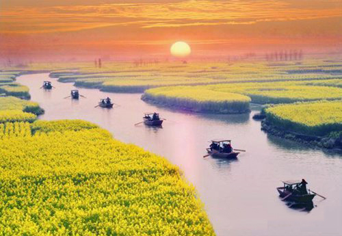 如何拍攝油菜花？達人教你7個拍攝技巧