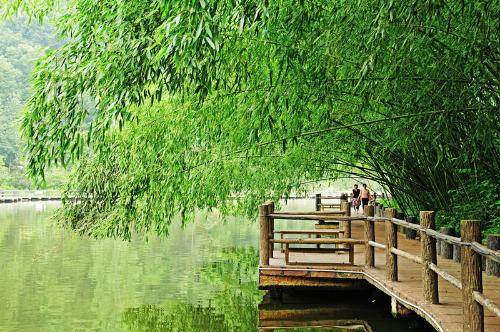 陽春三月 河南登山好去處