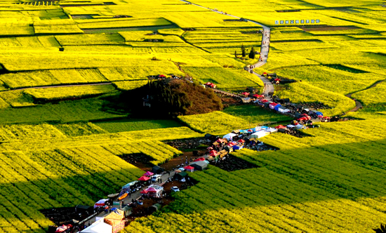 看油菜花不跑遠(yuǎn) 盤(pán)點(diǎn)專(zhuān)屬河南的油菜花田