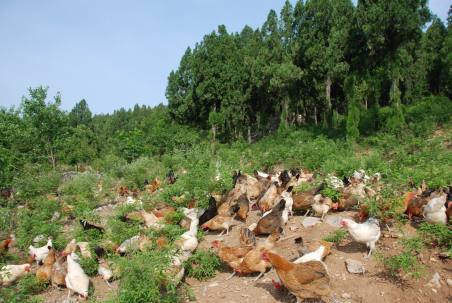 旅游真奇妙 這些事你知道嗎？