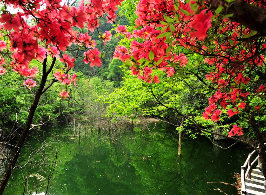 母親節(jié)河南景區(qū)優(yōu)惠大波來(lái)襲！