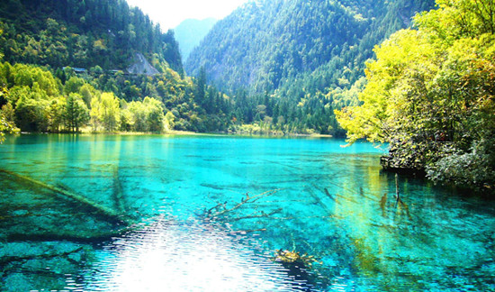 母親節(jié)，帶上爸媽去撒歡吧??！