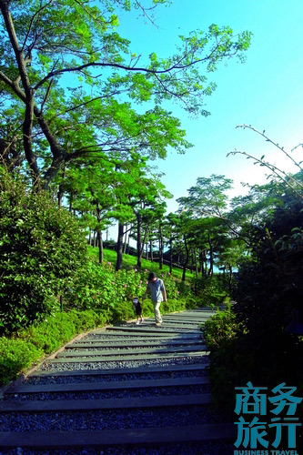 很多父母會(huì)帶著孩子在步行道漫步。