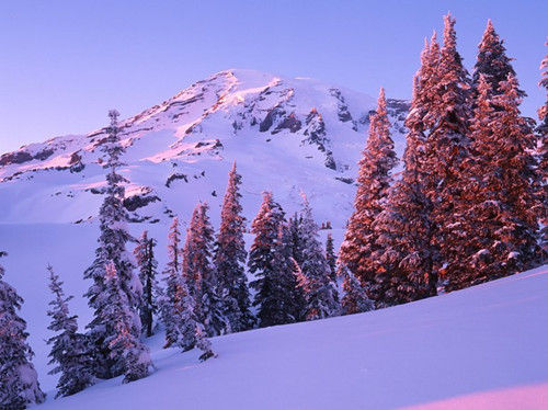 華盛頓，雷尼爾山