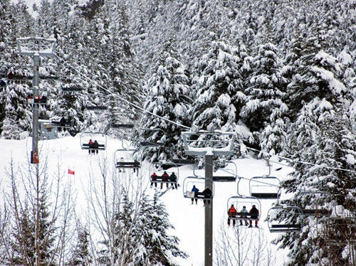 阿拉斯加，阿里耶斯卡