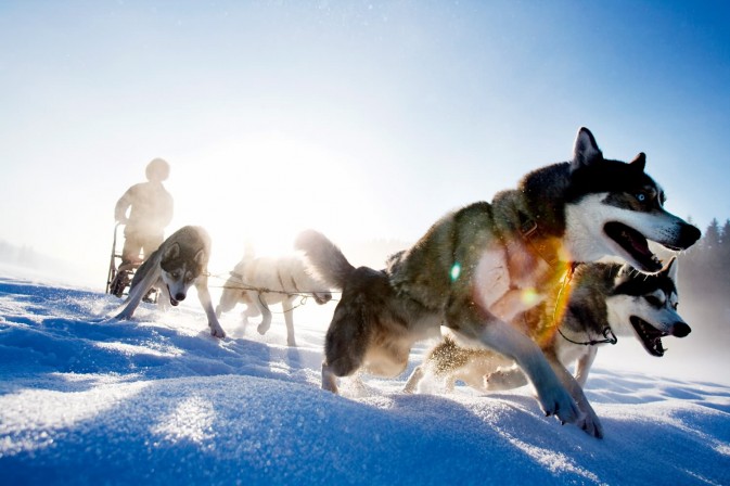 冬季貝加爾,適合享受冰上運(yùn)動,狗拉雪橇、雪上摩托車、雪地徒步等都是不錯的選擇 F5.6,1/115秒