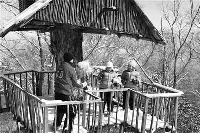 　　clubmed里有來自國外的滑雪教練教兒童滑雪?！? oldsrc=