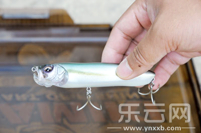 　　又稱擬餌釣魚,起源于歐洲,國內(nèi)翻譯為“路亞”。