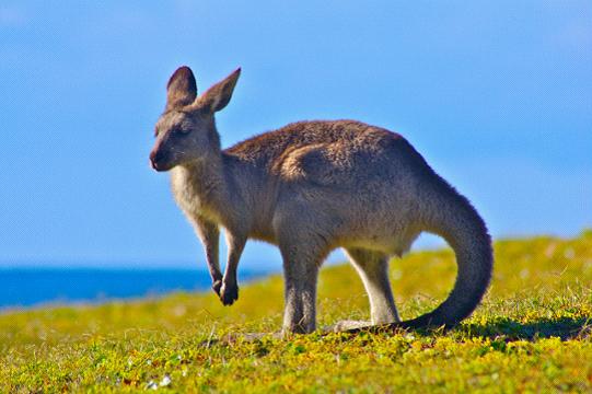 全家出國游去哪里？推薦十佳旅游勝地