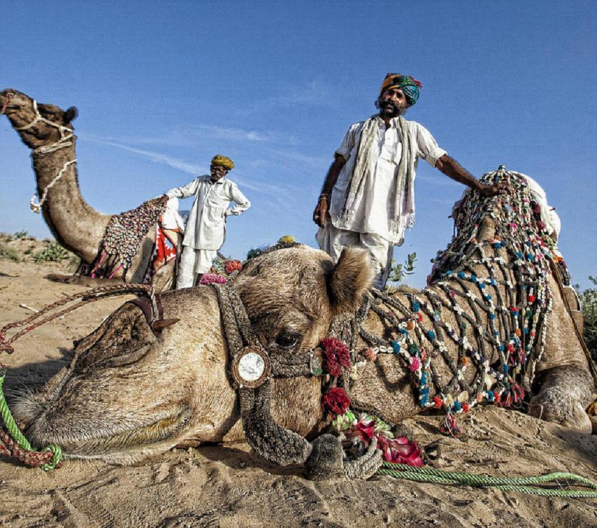全家出國游去哪里？推薦十佳旅游勝地