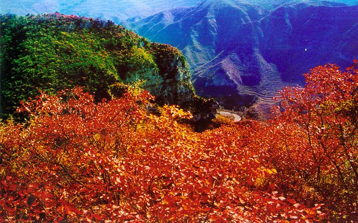 坐豪華游船惠游青天河 紅葉最后觀(guān)賞期莫錯(cuò)過(guò)