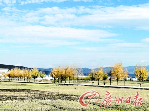 　　大理洱海湖畔美麗的鄉(xiāng)村景色。