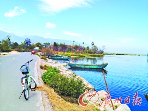 洱海的藍(lán)讓人沉醉。