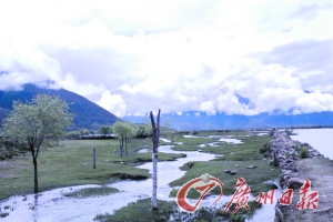 小路的一側(cè)是小溪,另一側(cè)是河流。