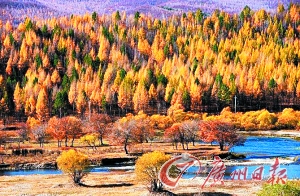 　　呼倫貝爾秋色。