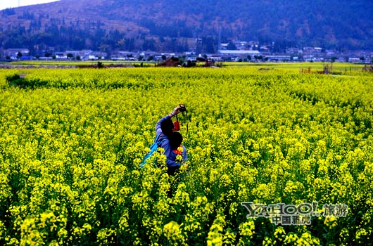 　　不論從人文氣息還是田園自然風光,都值得我們停靠。(圖片來源:CFP)