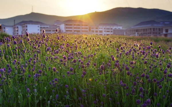 別樣蜜月，河南最適宜新婚度假的景區(qū)