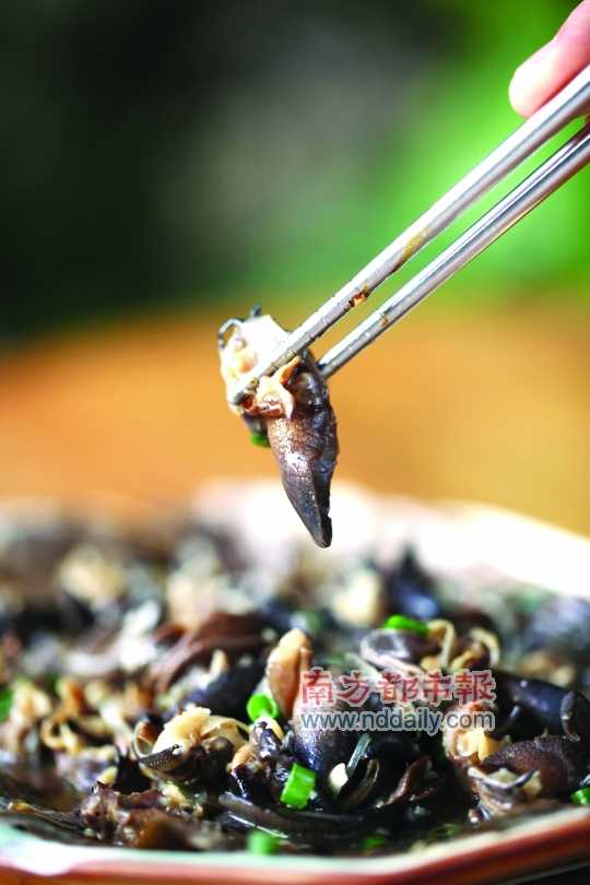 蒜蓉粉絲蒸蝸牛。