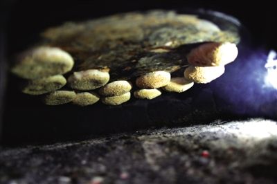 吊爐燒餅是黃驊最典型的面食之一，這種手藝在一些老院子里已經(jīng)傳承了上百年時間。