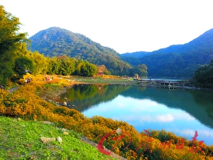 初冬的石門(mén)森林公園色彩絢爛。
