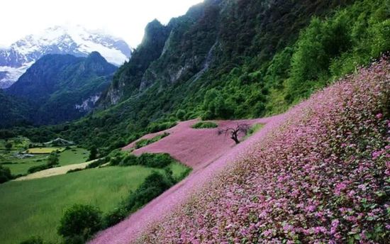 云南的另一個天堂 我約你一起去！