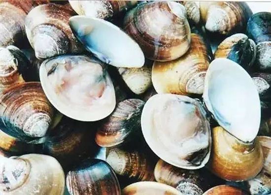 秋季最適合吃的海鮮是這10種 你吃對(duì)了嗎？