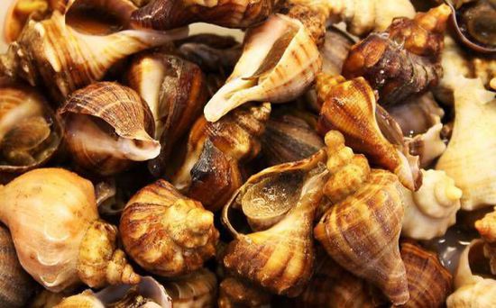 秋季最適合吃的海鮮是這10種 你吃對(duì)了嗎？