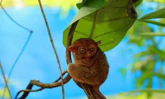 適合在冬天旅游的十個(gè)絕美海島！