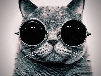 哪些星座總是不長(zhǎng)心