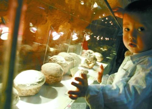 恐龍蛋，這回見識了吧！