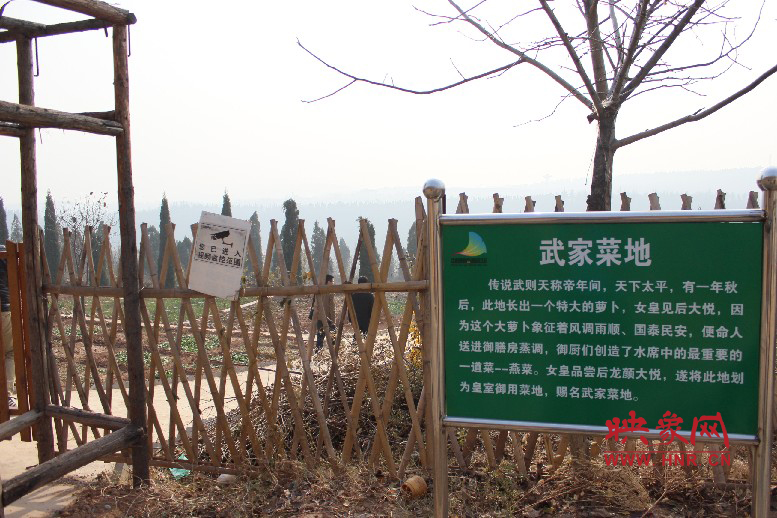 武家菜地就是這，據(jù)說里面有個特大的蘿卜