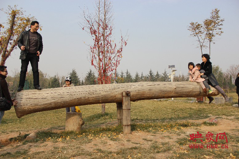 巨大的蹺蹺板，一棵樹。。?？赐娴亩噜? oldsrc=