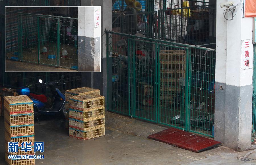上海6日起暫?；钋萁灰?關(guān)閉所有活禽交易市場(chǎng)