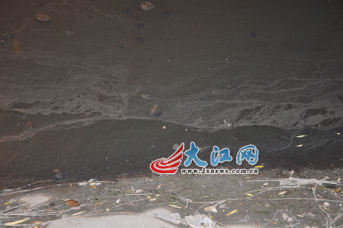 19日晚上的玉帶河，紅色河水變回灰綠色。