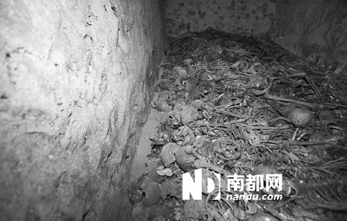 　5月29日，在以色列特拉維夫市雅法地區(qū)，一處集體墳?zāi)贡话l(fā)現(xiàn)。