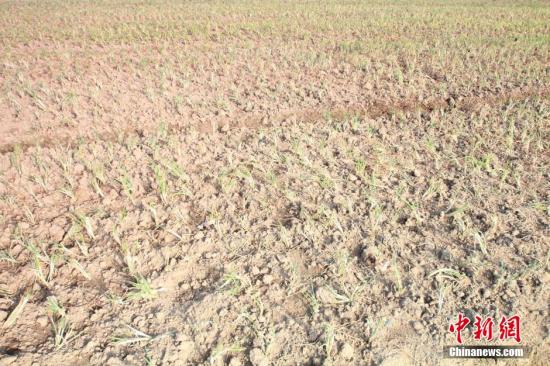 2014年7月31日早晨，浙江紹興市區(qū)蔬菜批發(fā)市場(chǎng)旁邊的土地已經(jīng)發(fā)生開裂。