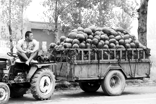 　看著滿滿一車瓜，一瓜農(nóng)愁眉不展。