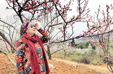 公式“時尚奶奶”的賞花照，收獲了好多人的點(diǎn)贊。 受訪者供圖