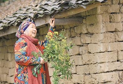 公式“時尚奶奶”的賞花照，收獲了好多人的點(diǎn)贊。 受訪者供圖