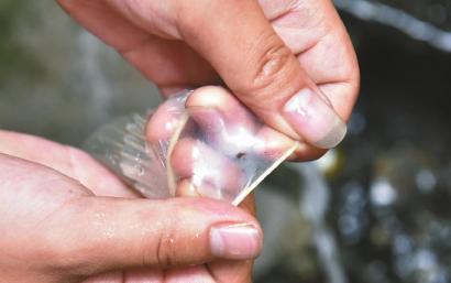 避孕套存在小孔。