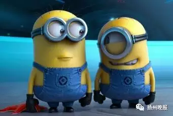 37歲女子第12胎產下