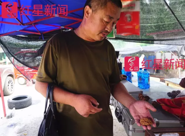 文玩核桃遇冷由幾萬一對(duì)降到5元沒人要？商戶否認(rèn)