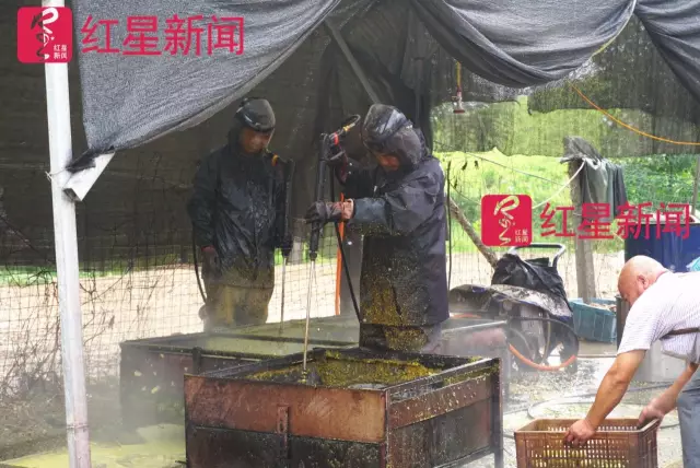 文玩核桃遇冷由幾萬一對(duì)降到5元沒人要？商戶否認(rèn)