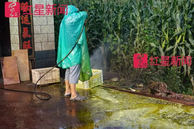 文玩核桃遇冷由幾萬一對(duì)降到5元沒人要？商戶否認(rèn)