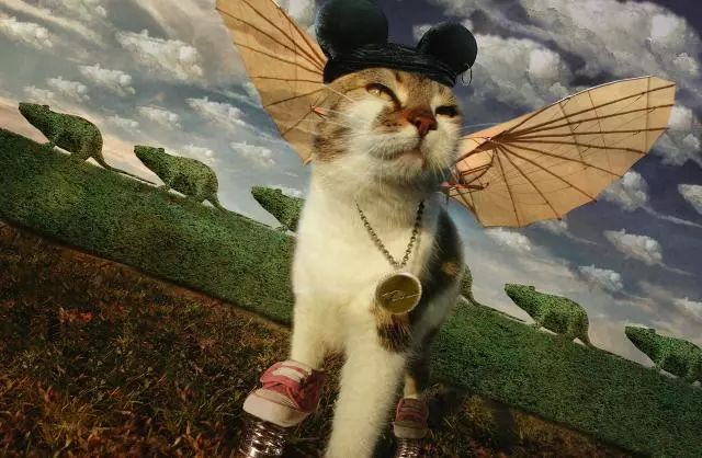 一只虛擬寵物貓叫價(jià)13億元？云養(yǎng)貓成真