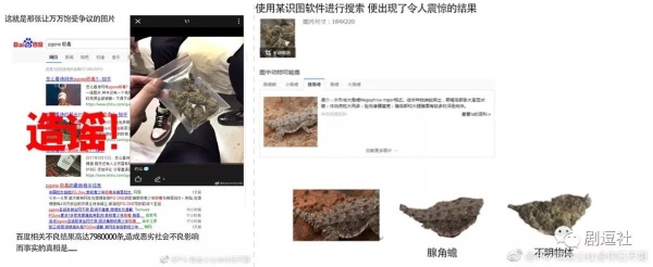 PGone又教給我們一個(gè)新詞：虐粉。