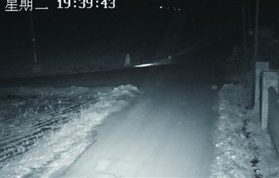 10歲男孩一個人打著手電走在鄉(xiāng)間公路上。 警方供圖