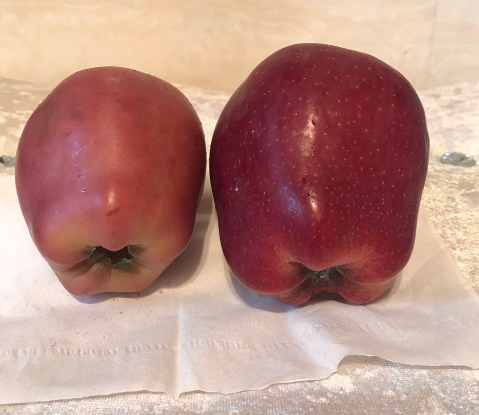 嚇懵！女子用熱水泡蘋(píng)果結(jié)果冒出血珠 咋回事？