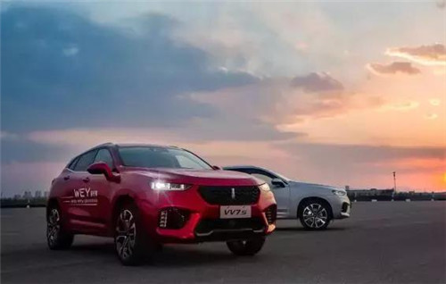 去年“蹦”出來的新汽車品牌們，現(xiàn)在活得怎么樣了？