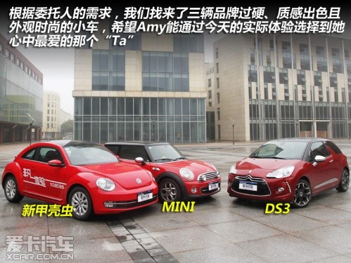 MINI、新甲殼蟲(chóng)、DS3